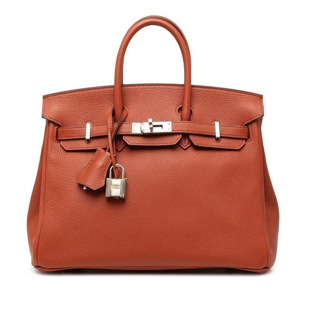 Hermes Taurillon Novillo Birkin 25 Retourne Handbag Orange